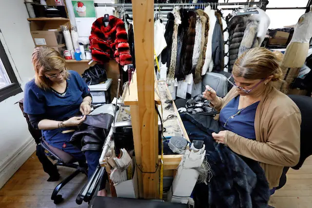 Seamstresses Sonia Genao, left, and Juana Rodrize, right, at work at Pologeorgis Furs in New York. Advocates say many businesses will go under if the fur ban goes into effect.